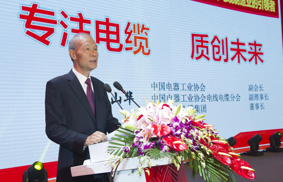 丁山(shān)華董事長(zhang)在(zai)公(gōng)司50周年(nian)慶典上的(de)講話(hua)